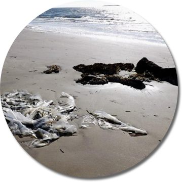 Litter On the Beach
